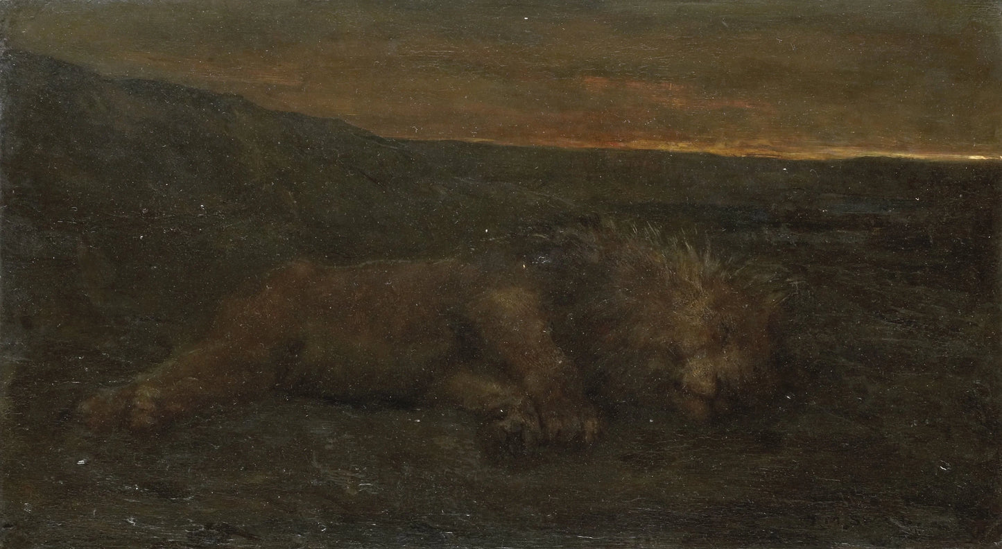 Sleeping Lion by Night – John Macallan Swan Vintage Animal Study Art Print | Wall Art Poster
