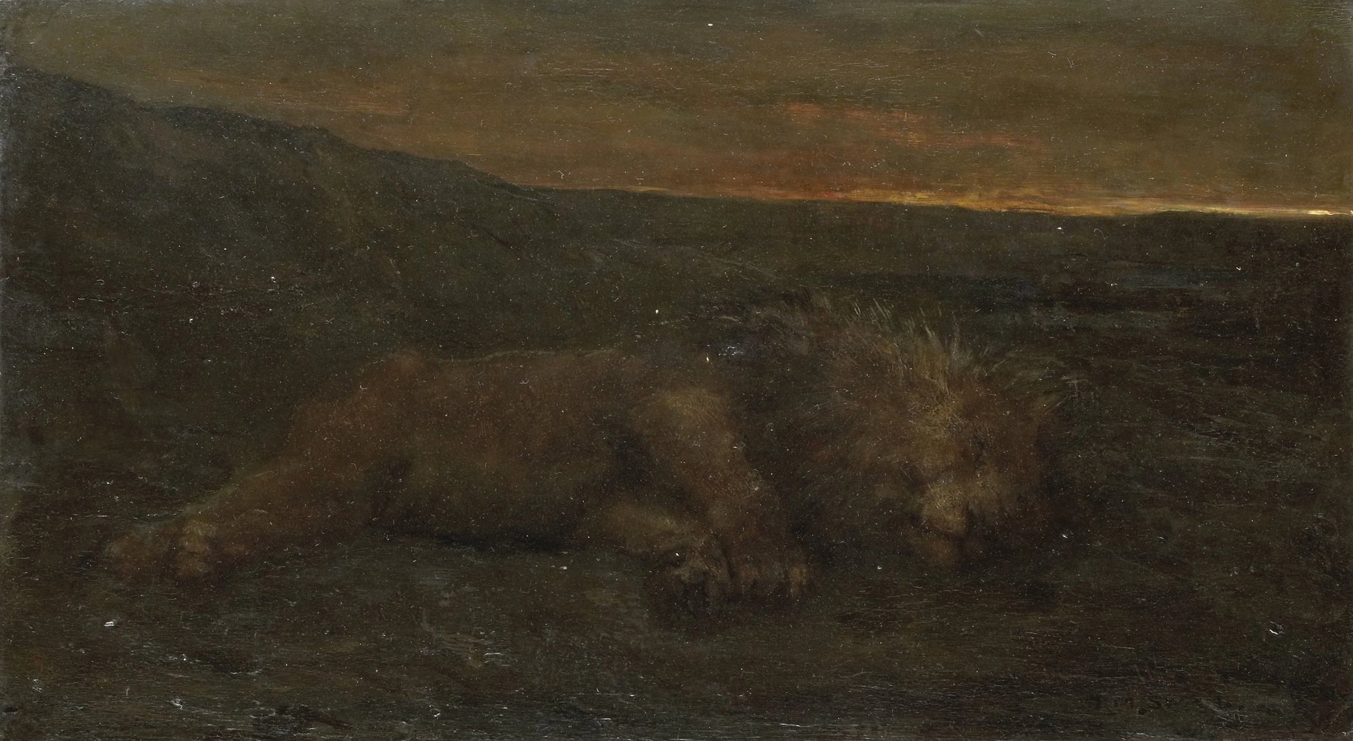 Sleeping Lion by Night – John Macallan Swan Vintage Animal Study Art Print | Wall Art Poster