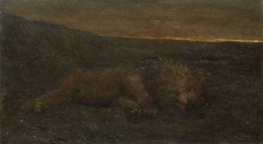 Sleeping Lion by Night – John Macallan Swan Vintage Animal Study Art Print | Wall Art Poster