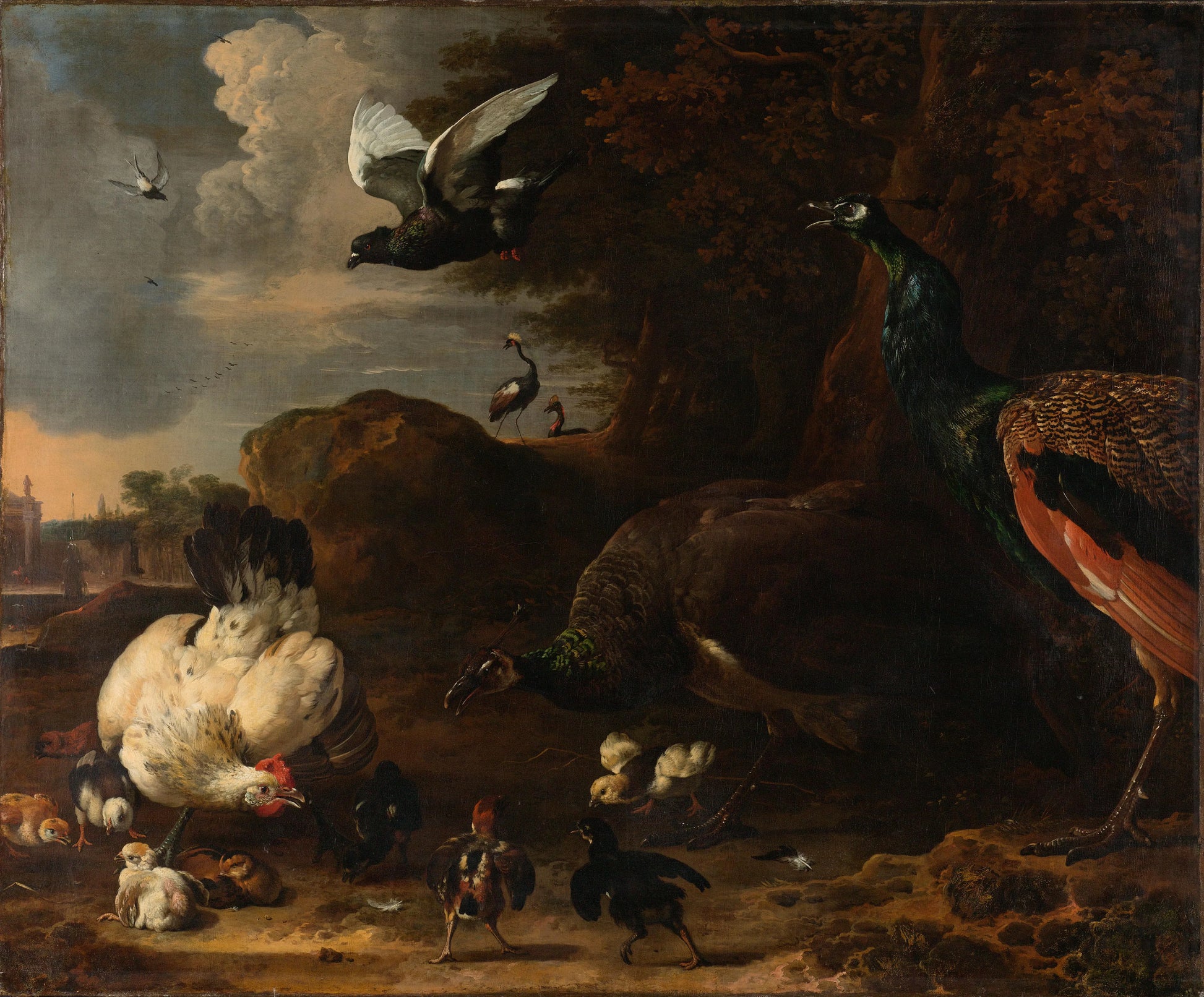 Two Peacocks Threatening a Hen with Chicks, Known as ‘The Threatened Hen’ – Melchior d' Hondecoeter Vintage Animal Study Art Print | Wall Art Poster