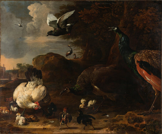 Two Peacocks Threatening a Hen with Chicks, Known as ‘The Threatened Hen’ – Melchior d' Hondecoeter Vintage Animal Study Art Print | Wall Art Poster