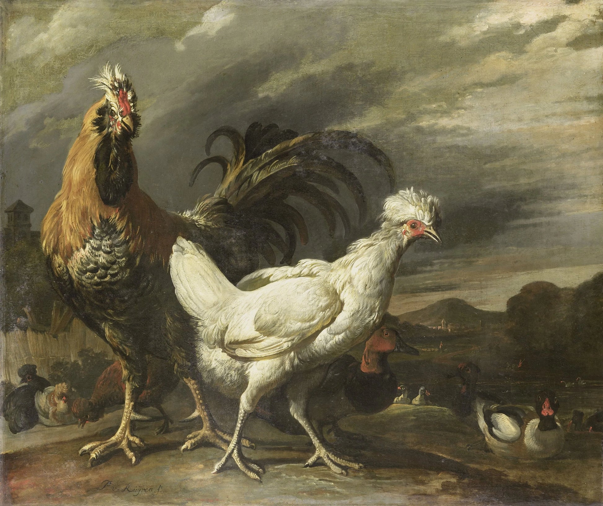 Cock, a Hen and other Poultry – Pieter Jansz. van Ruyven Vintage Animal Study Art Print | Wall Art Poster