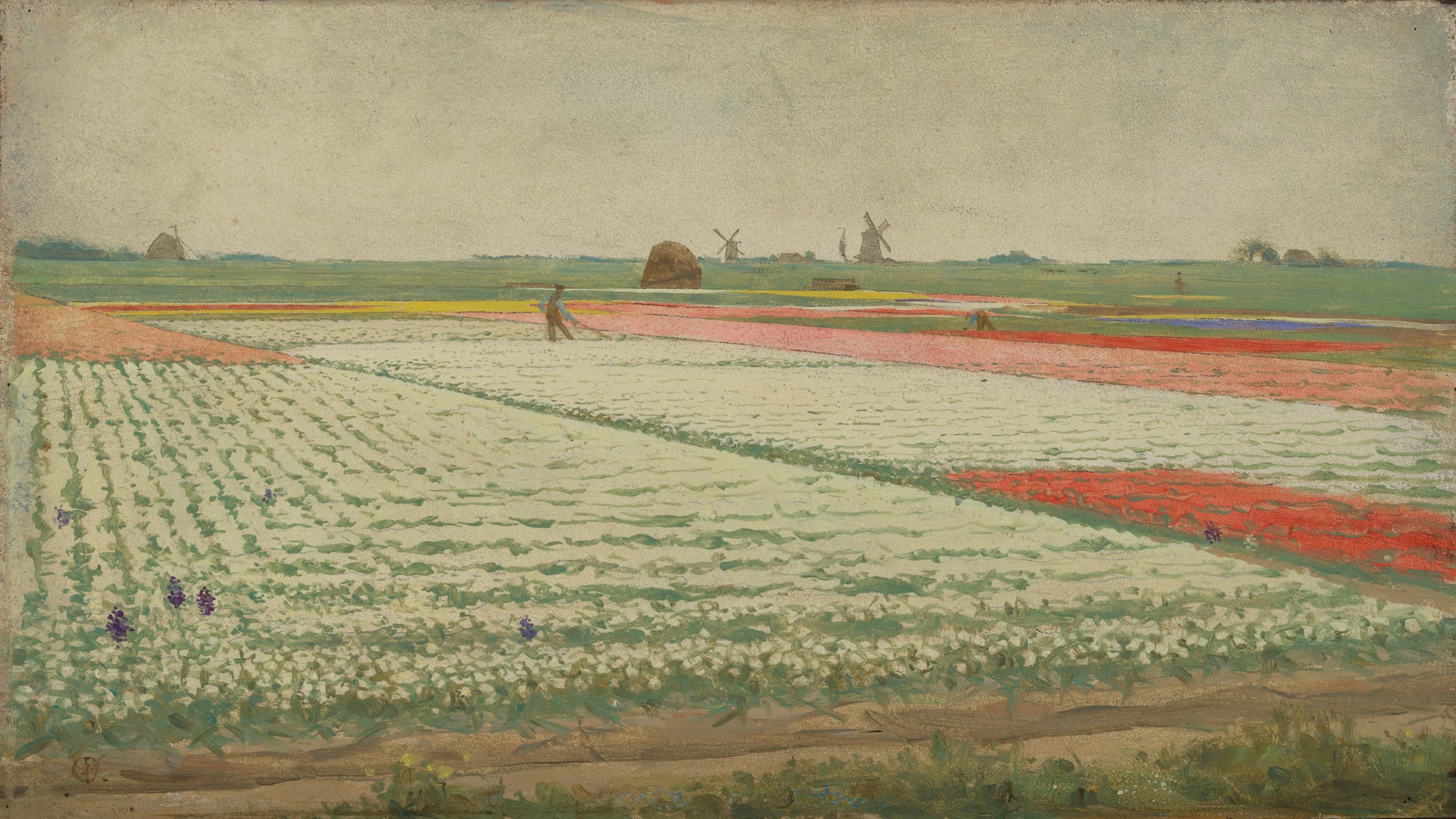 Tulip Fields – Gerrit Willem Dijsselhof Vintage Floral Art Print | Wall Art Poster