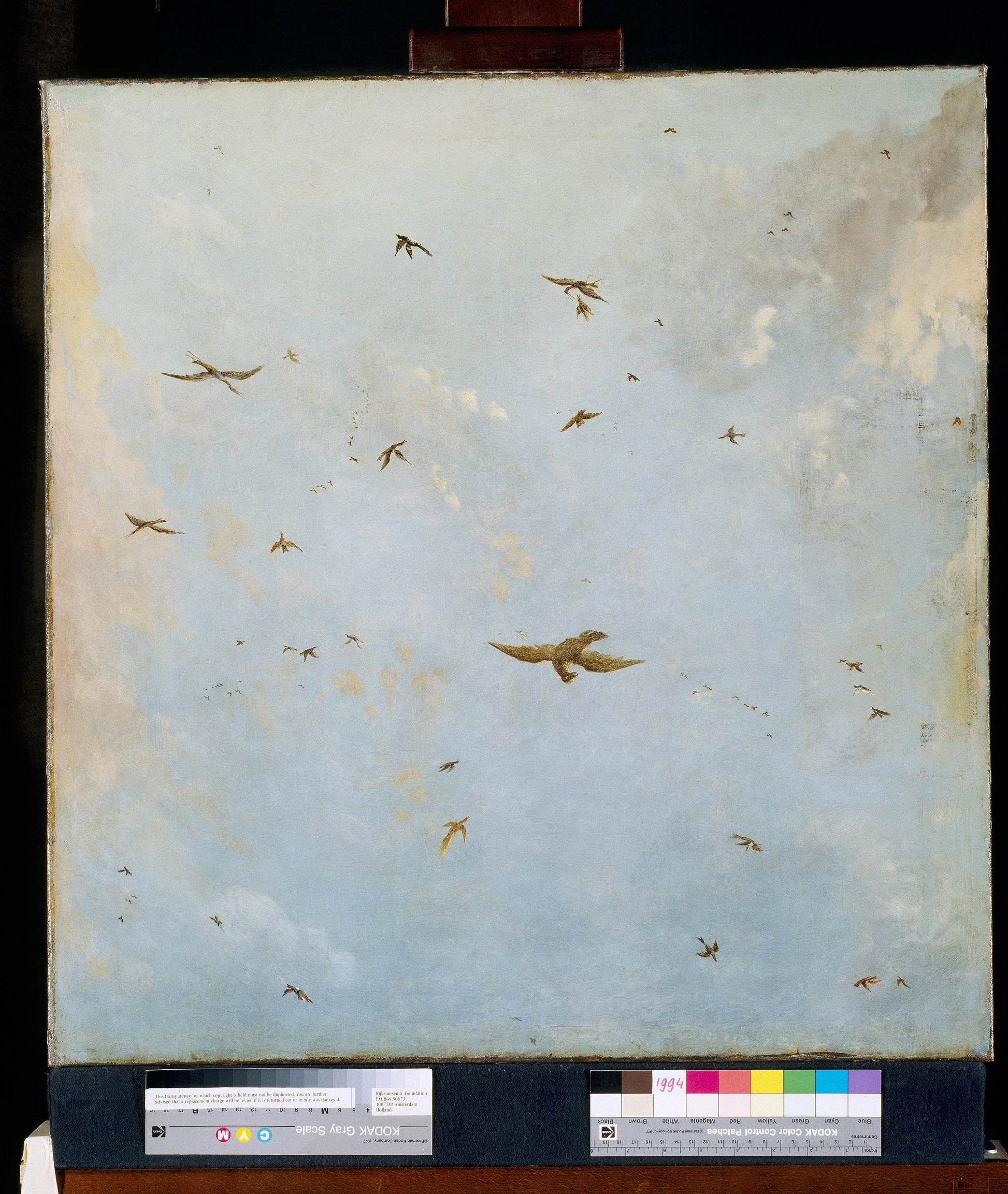 Dolls-house Ceiling-Painting of a Cloudy Sky with Birds – attributed to Nicolaes Piemont Vintage Bird Study Art Print | Wall Art Poster