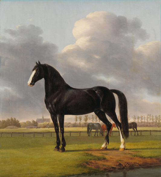 Adriaan van der Hoop’s Trotter ‘De Vlugge’ (The Fast One) in a Meadow – Anthony Oberman Vintage Portrait Art Print | Wall Art Poster