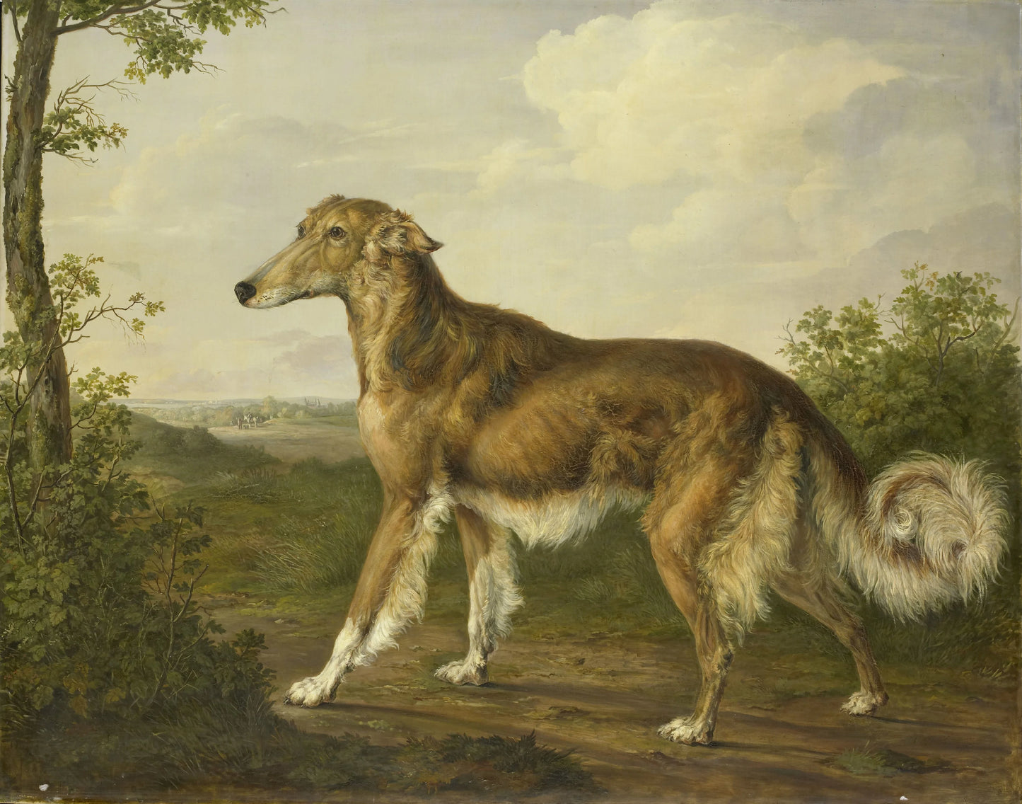 Siberian Greyhound – Jan Dasveldt Vintage Animal Study Art Print | Wall Art Poster