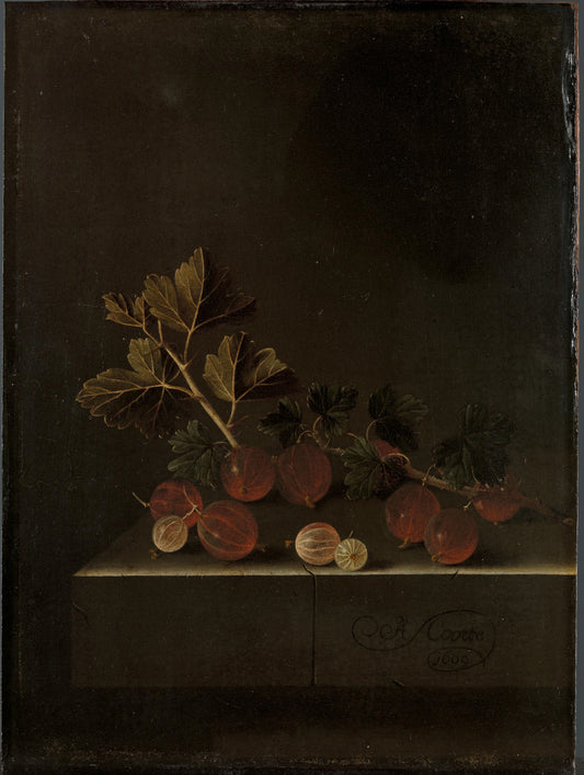 A Sprig of Gooseberries on a Stone Plinth – Adriaen Coorte Vintage Art Print | Wall Art Poster