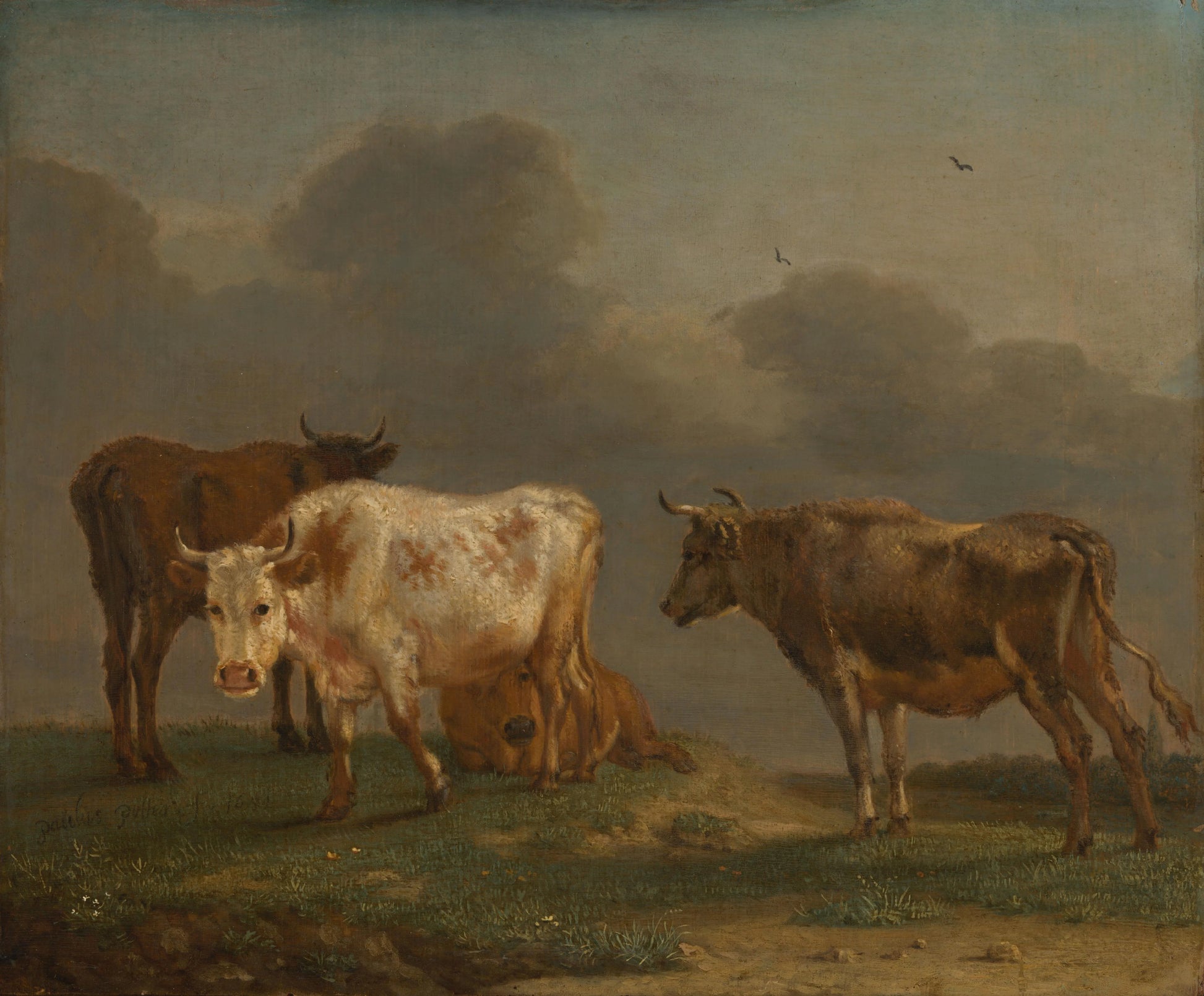 Four Young Bulls in a Meadow – Paulus Potter Vintage Animal Study Art Print | Wall Art Poster