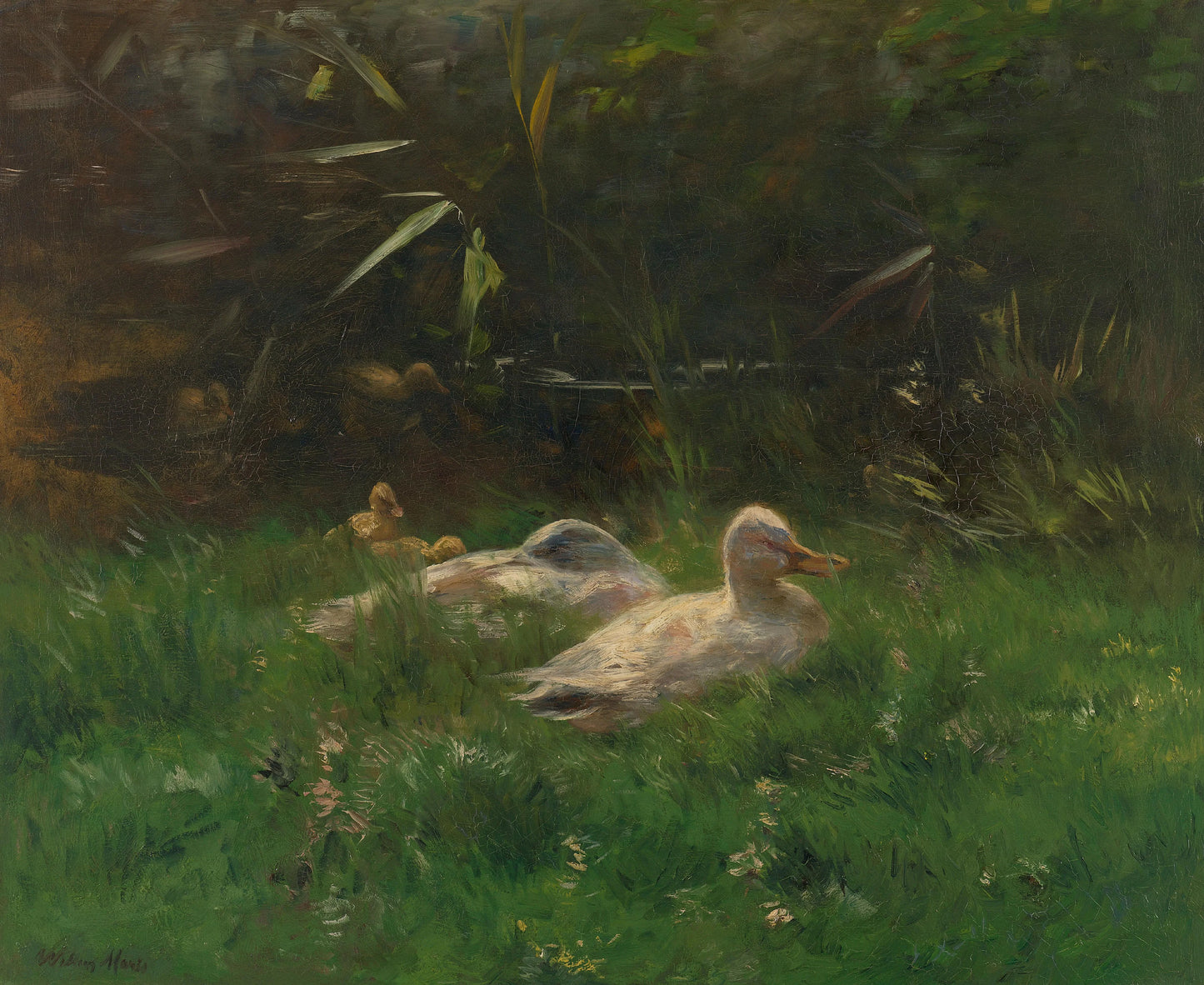 Eenden – Willem Maris Vintage Animal Study Art Print | Wall Art Poster