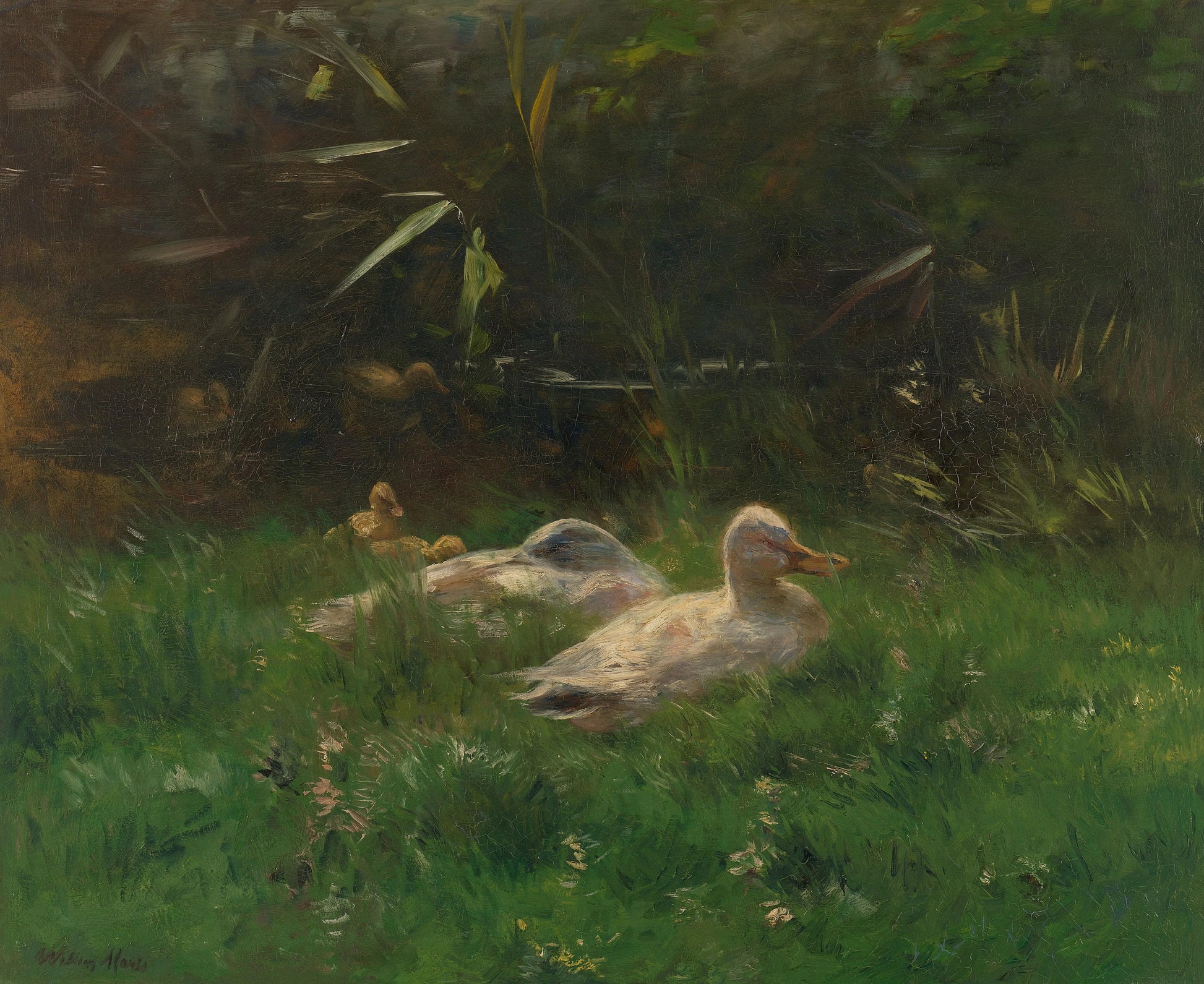 Eenden – Willem Maris Vintage Animal Study Art Print | Wall Art Poster
