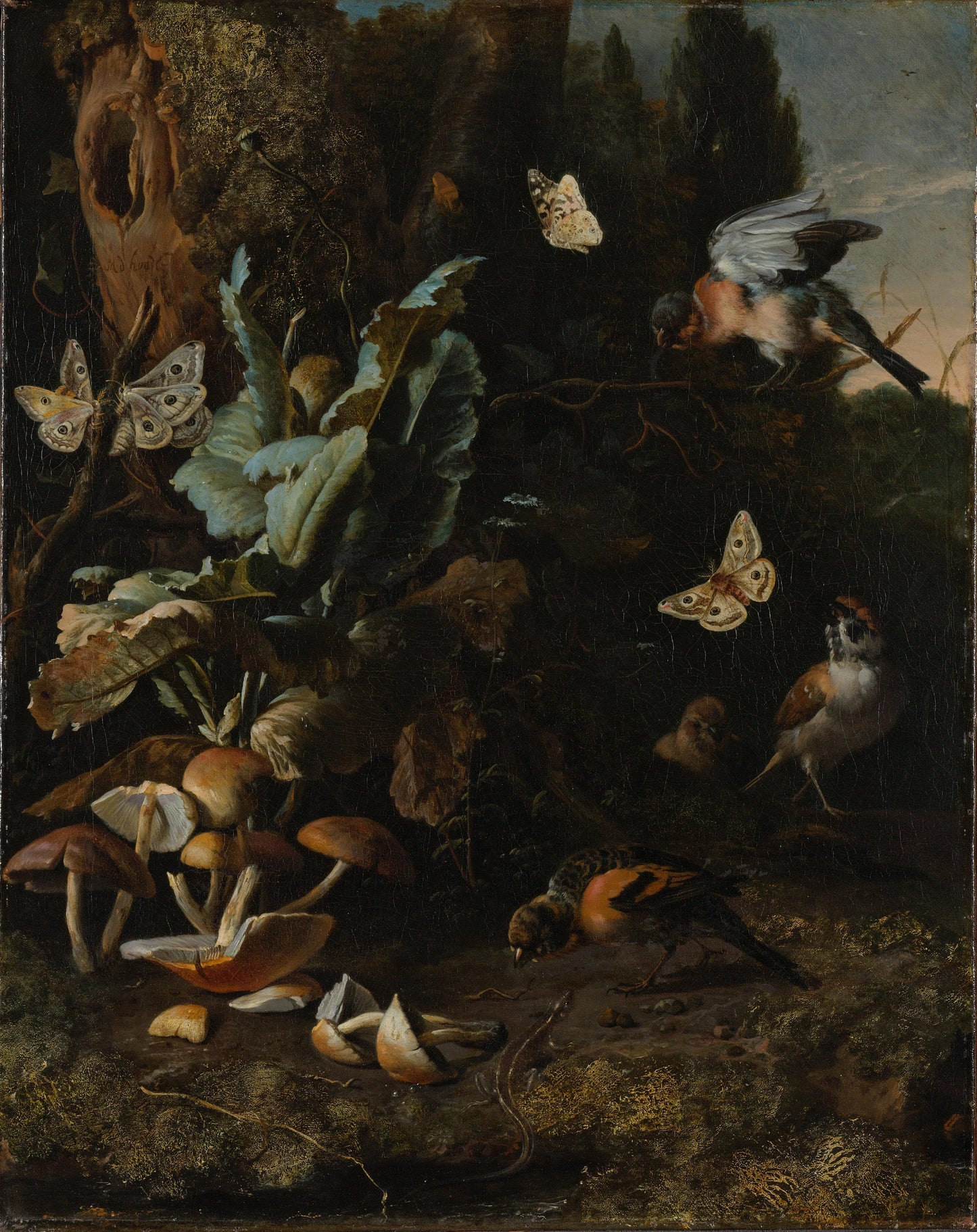 Forest Floor Still Life with Birds, Butterflies and a Lizard – Melchior d' Hondecoeter Vintage Still Life Art Print | Wall Art Poster