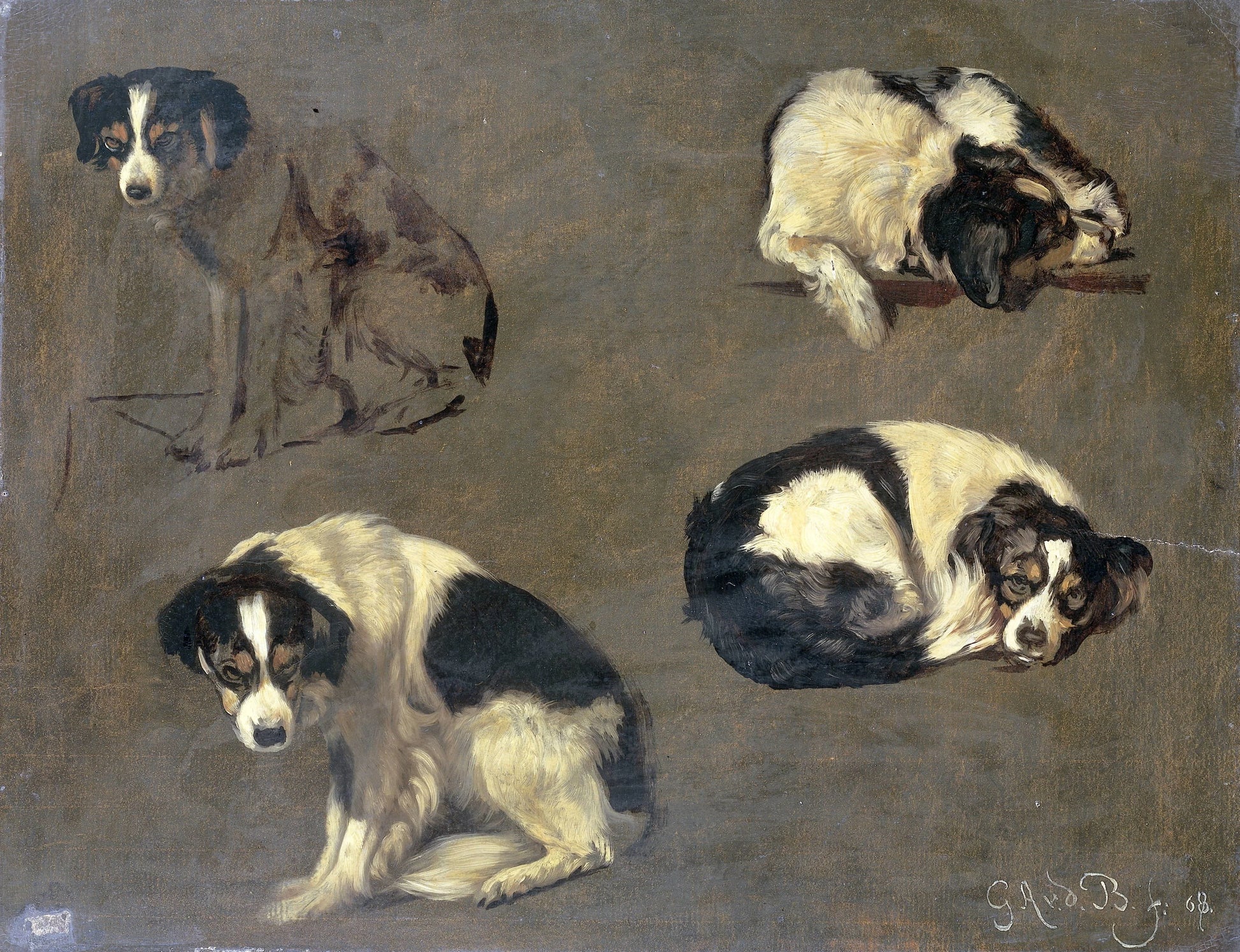 Four Studies of a Dog – Guillaume Anne van der Brugghen (vermeld op object) Vintage Animal Study Art Print | Wall Art Poster