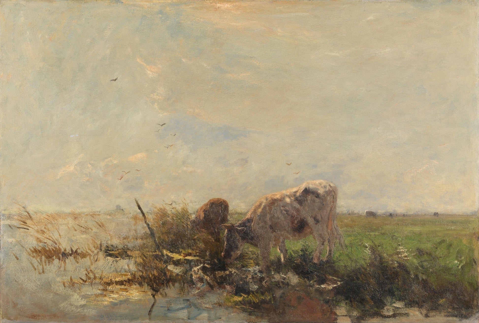 Koeien aan een plas – Willem Maris (mentioned on object) Vintage Landscape Art Print | Wall Art Poster