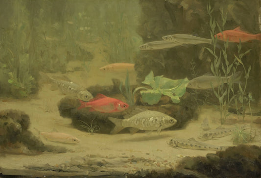 Gold- and Silverfish in an Aquarium – Gerrit Willem Dijsselhof Vintage Animal Study Art Print | Wall Art Poster