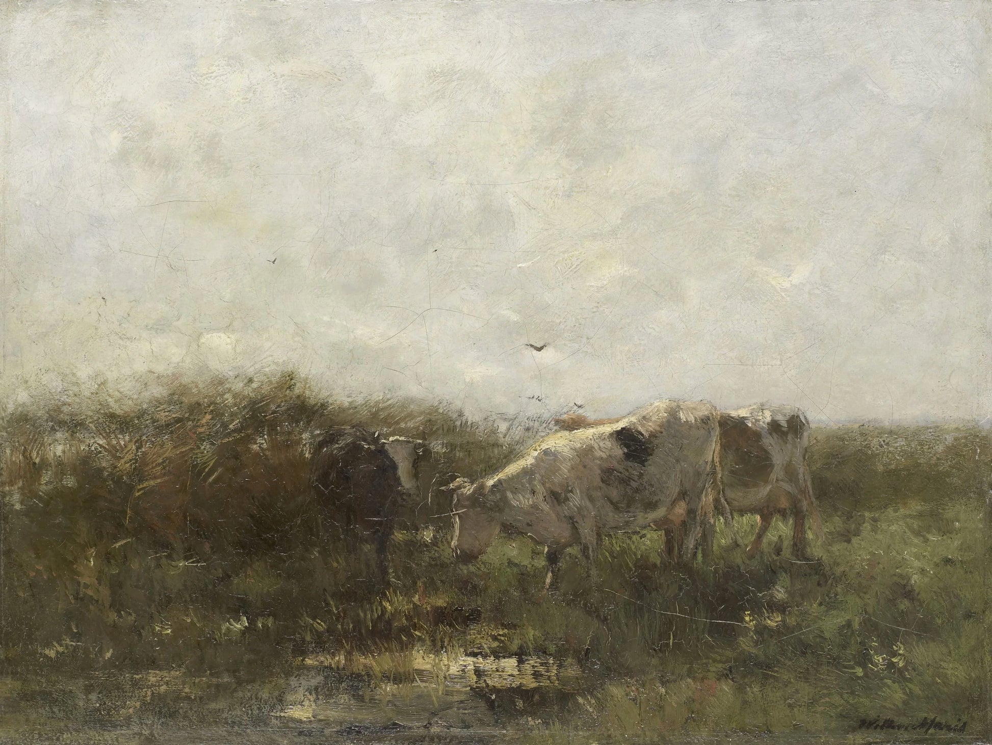 Koeien – Willem Maris Vintage Animal Study Art Print | Wall Art Poster