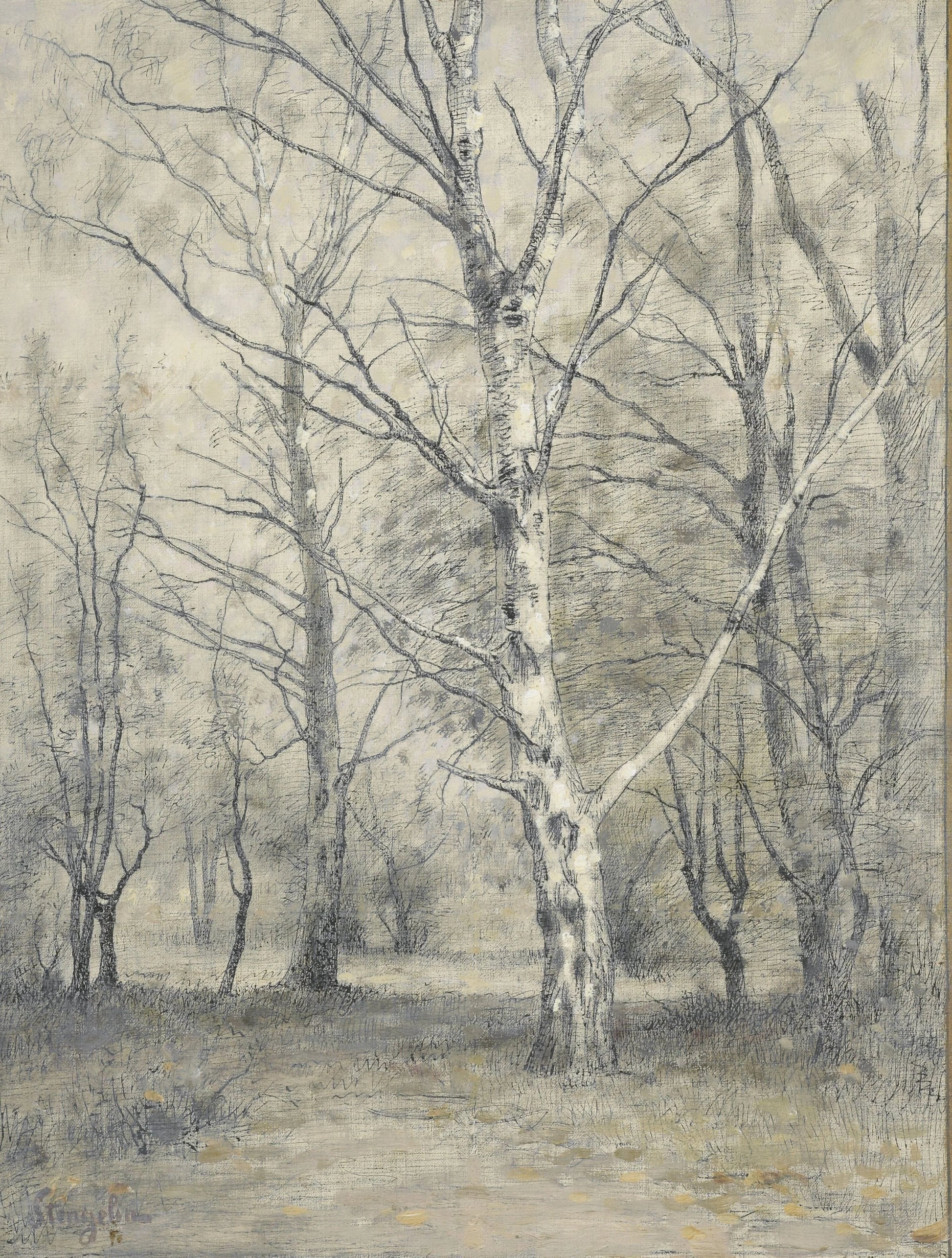 Bos met berkebomen – Alphonse Stengelin Vintage Landscape Art Print | Wall Art Poster