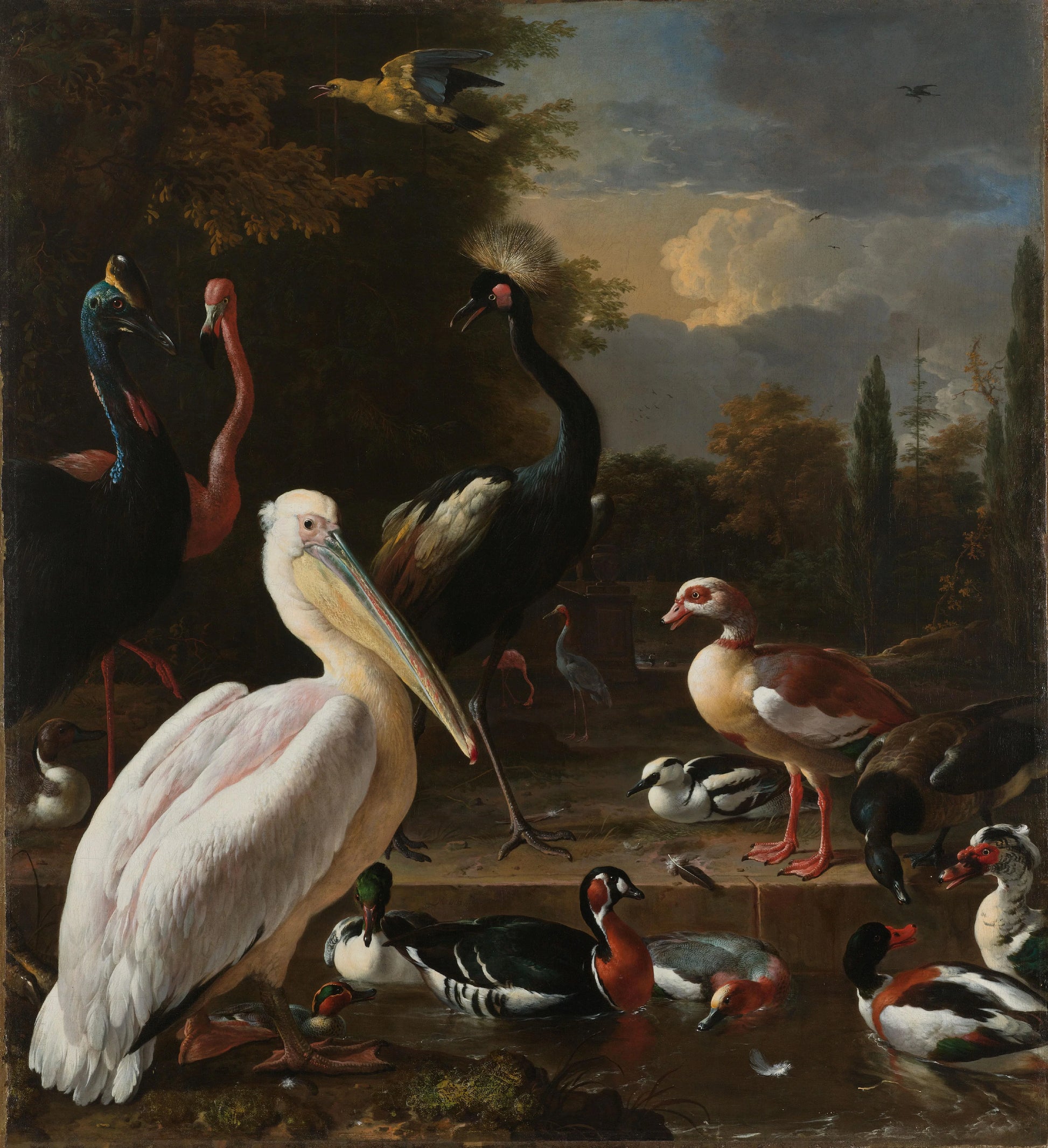A Pelican and other Birds near a Pool, known as 'The Floating Feather' – Melchior d' Hondecoeter Vintage Garden Scene Art Print | Wall Art Poster