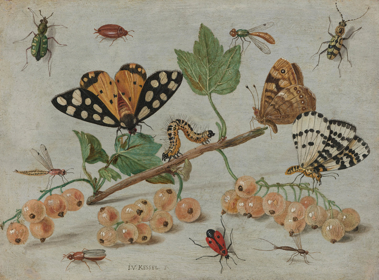 Sprig of White Currants with Insects – Jan van Kessel (I) Vintage Still Life Art Print | Wall Art Poster