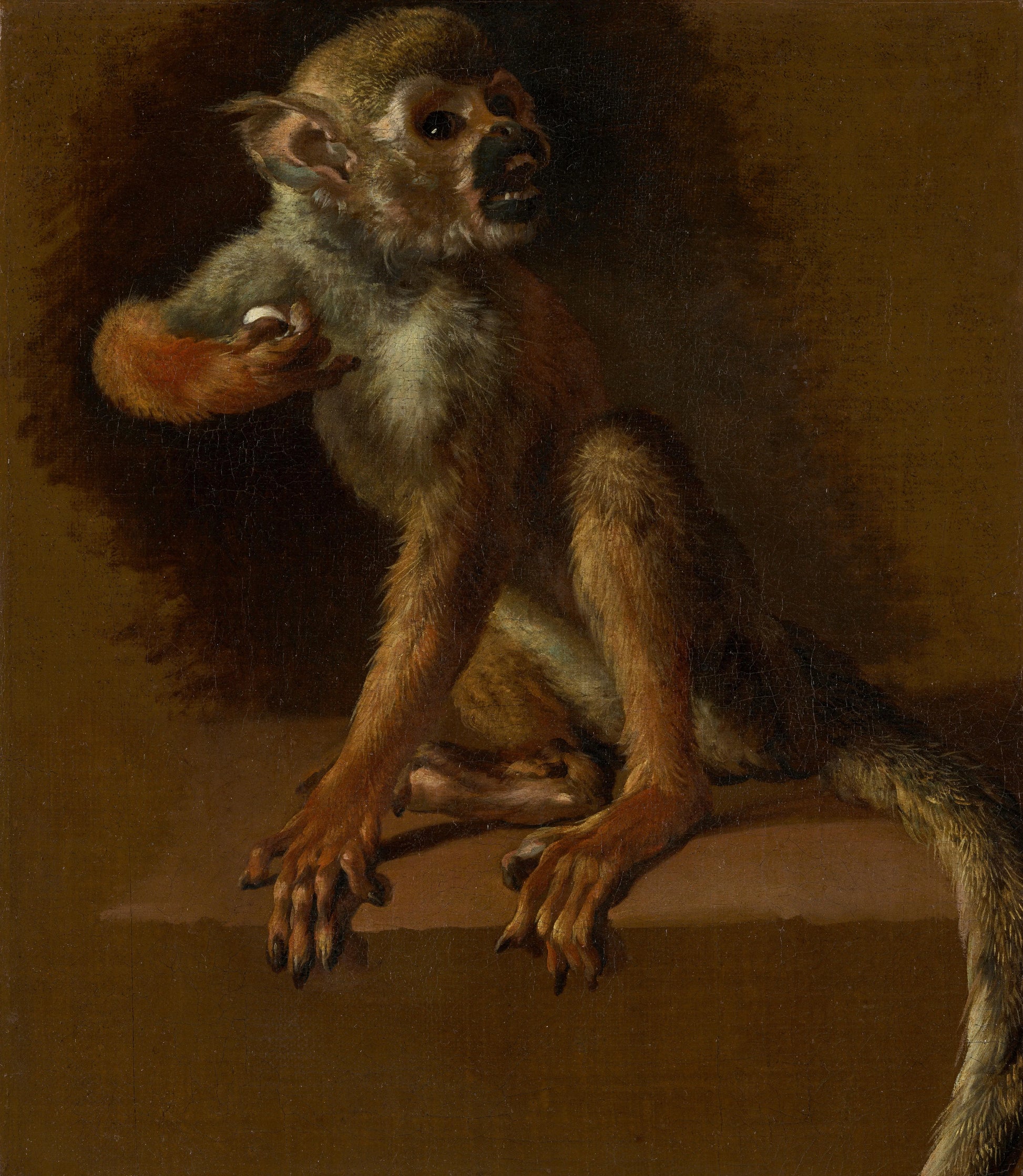 A Seated Monkey – Jan Weenix Vintage Still Life Art Print | Wall Art Poster
