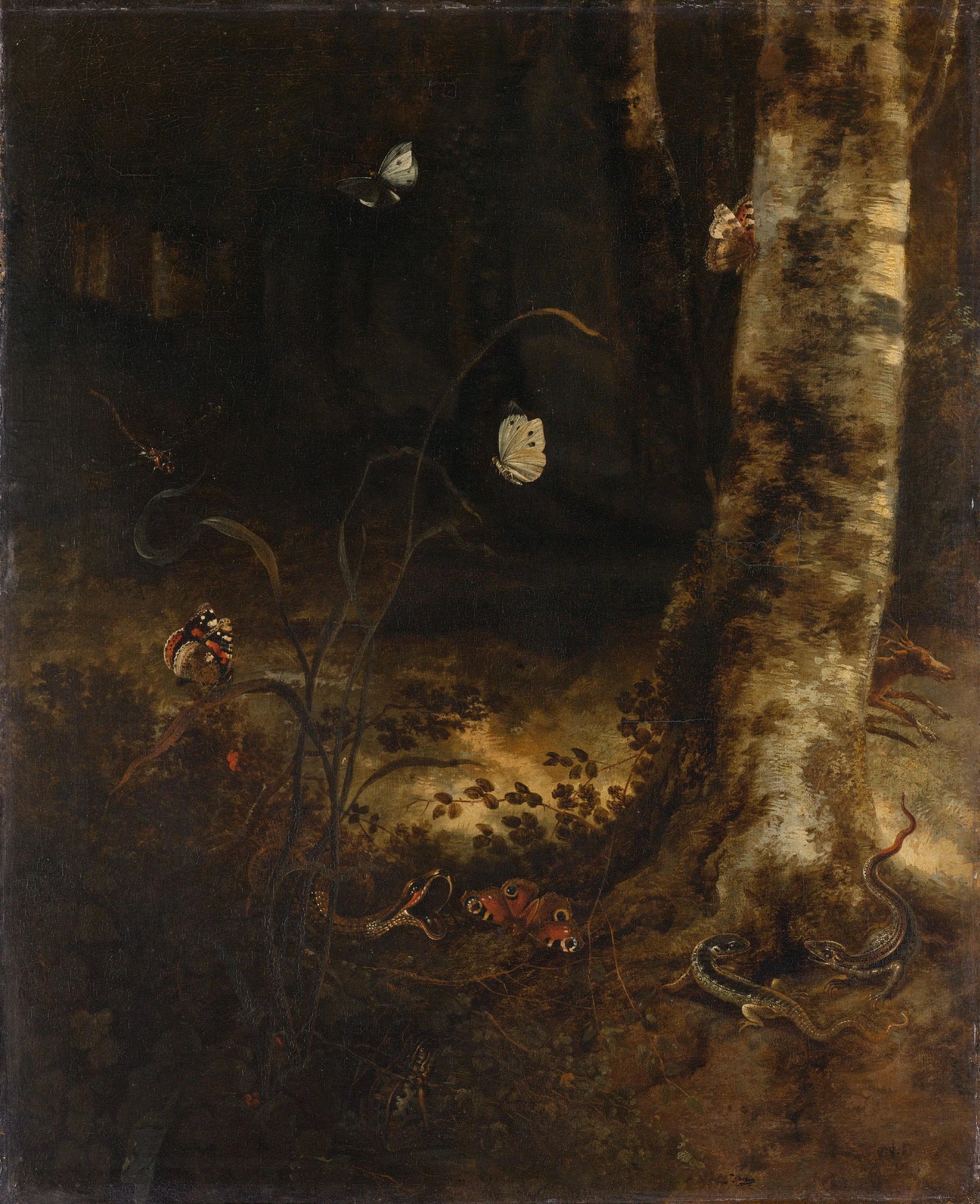 Forest Floor with a Snake, Lizards, Butterflies and other Insects – Otto Marseus van Schrieck Vintage Animal Study Art Print | Wall Art Poster