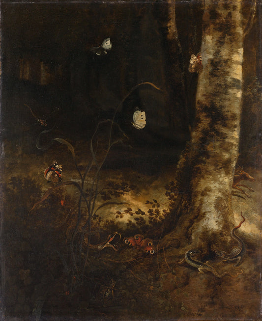 Forest Floor with a Snake, Lizards, Butterflies and other Insects – Otto Marseus van Schrieck Vintage Animal Study Art Print | Wall Art Poster