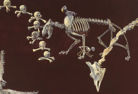 Dead Zoo – Erik Andriesse Vintage Animal Study Art Print | Wall Art Poster