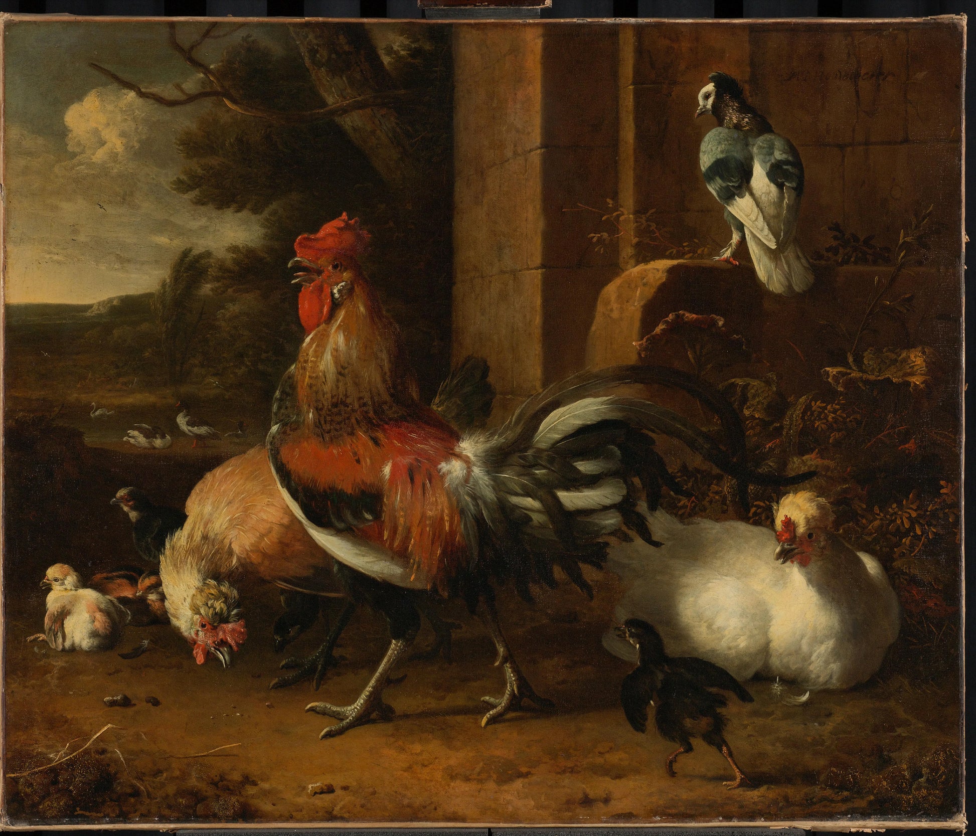 A Poultry Yard – Melchior d' Hondecoeter Vintage Animal Study Art Print | Wall Art Poster