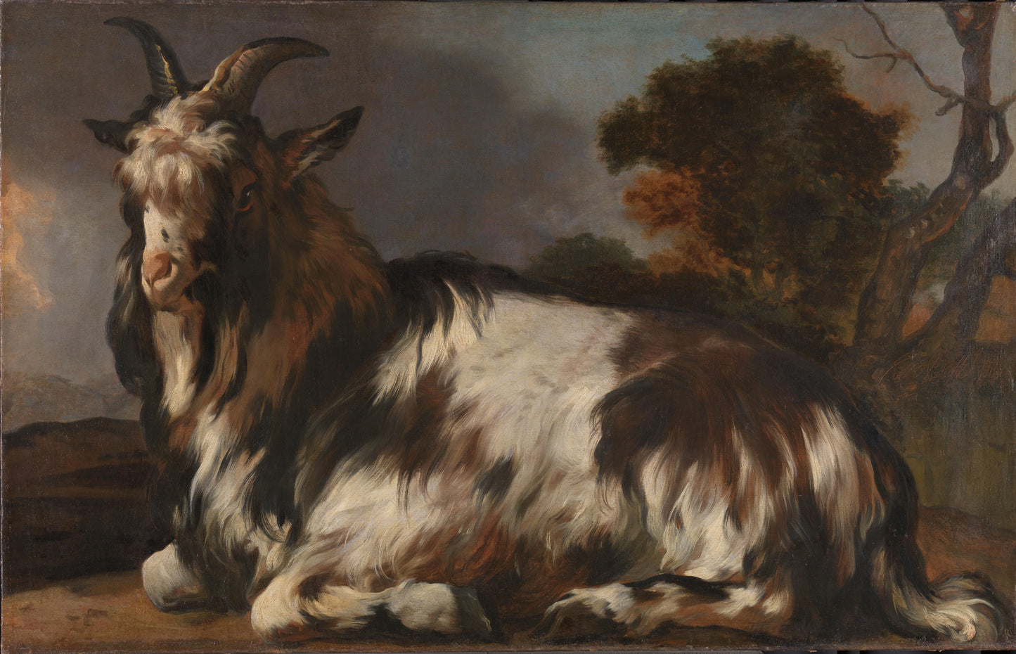 Goat Lying Down – Jan Baptist Weenix Vintage Art Print | Wall Art Poster