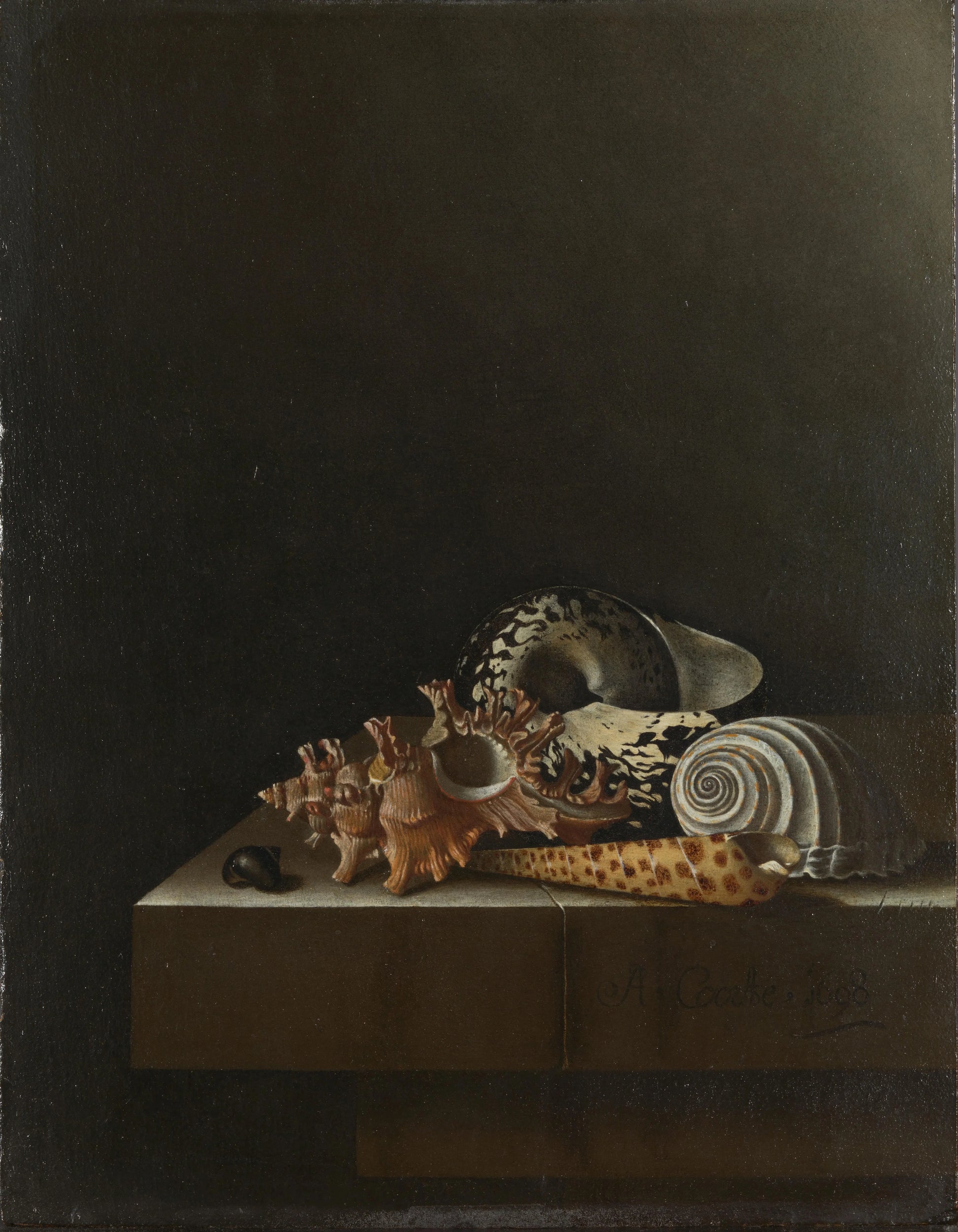Shells on a Stone Plinth – Adriaen Coorte Vintage Still Life Art Print | Wall Art Poster