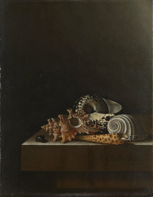 Shells on a Stone Plinth – Adriaen Coorte Vintage Still Life Art Print | Wall Art Poster
