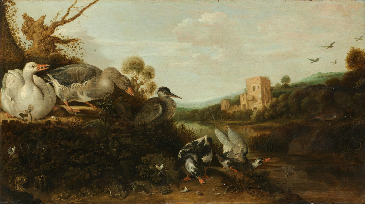 Waterfowl – Gijsbert Gillisz de Hondecoeter (mentioned on object) Vintage Animal Study Art Print | Wall Art Poster