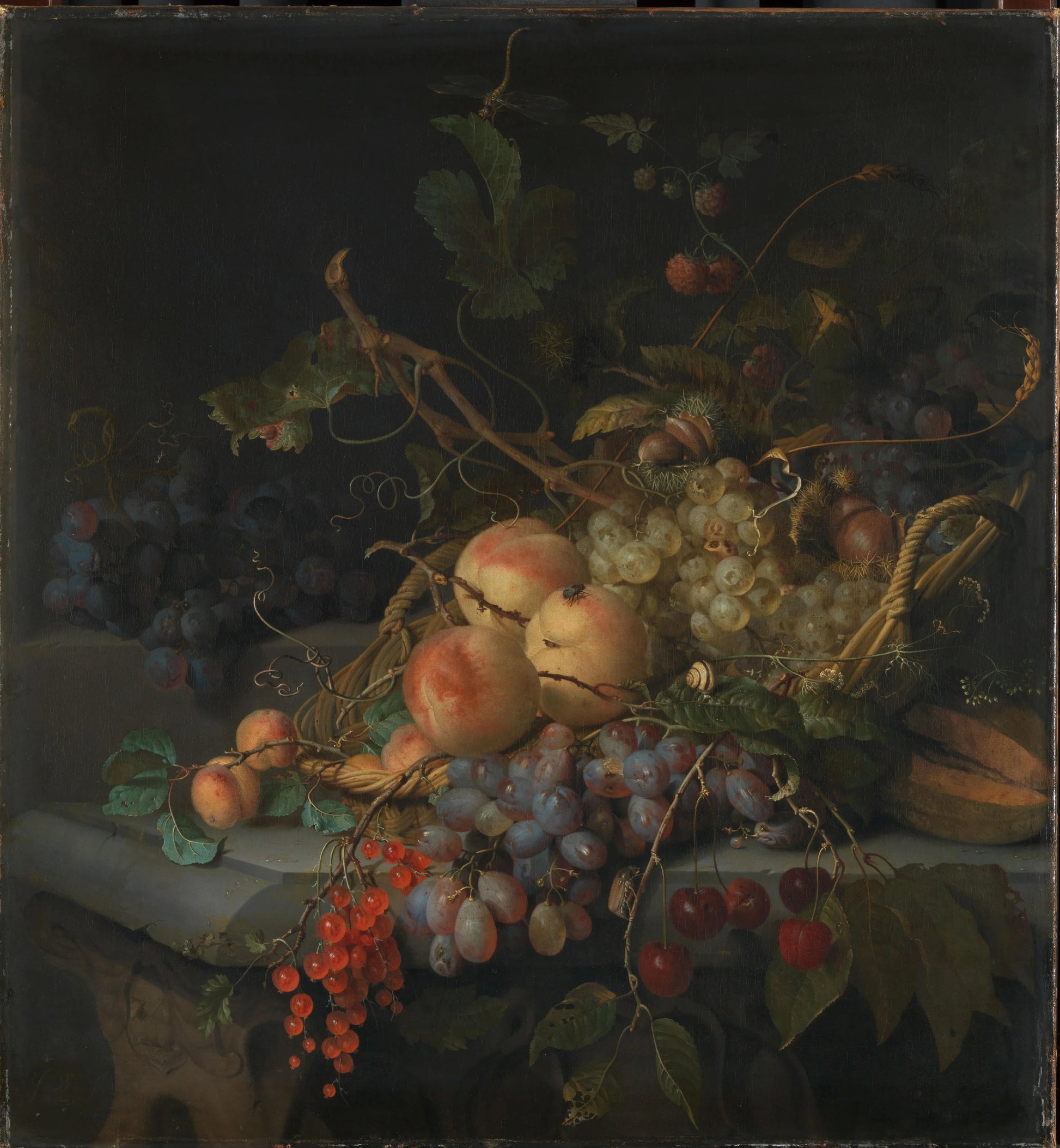 Still Life with Fruit – Jacob van Walscapelle Vintage Still Life Art Print | Wall Art Poster
