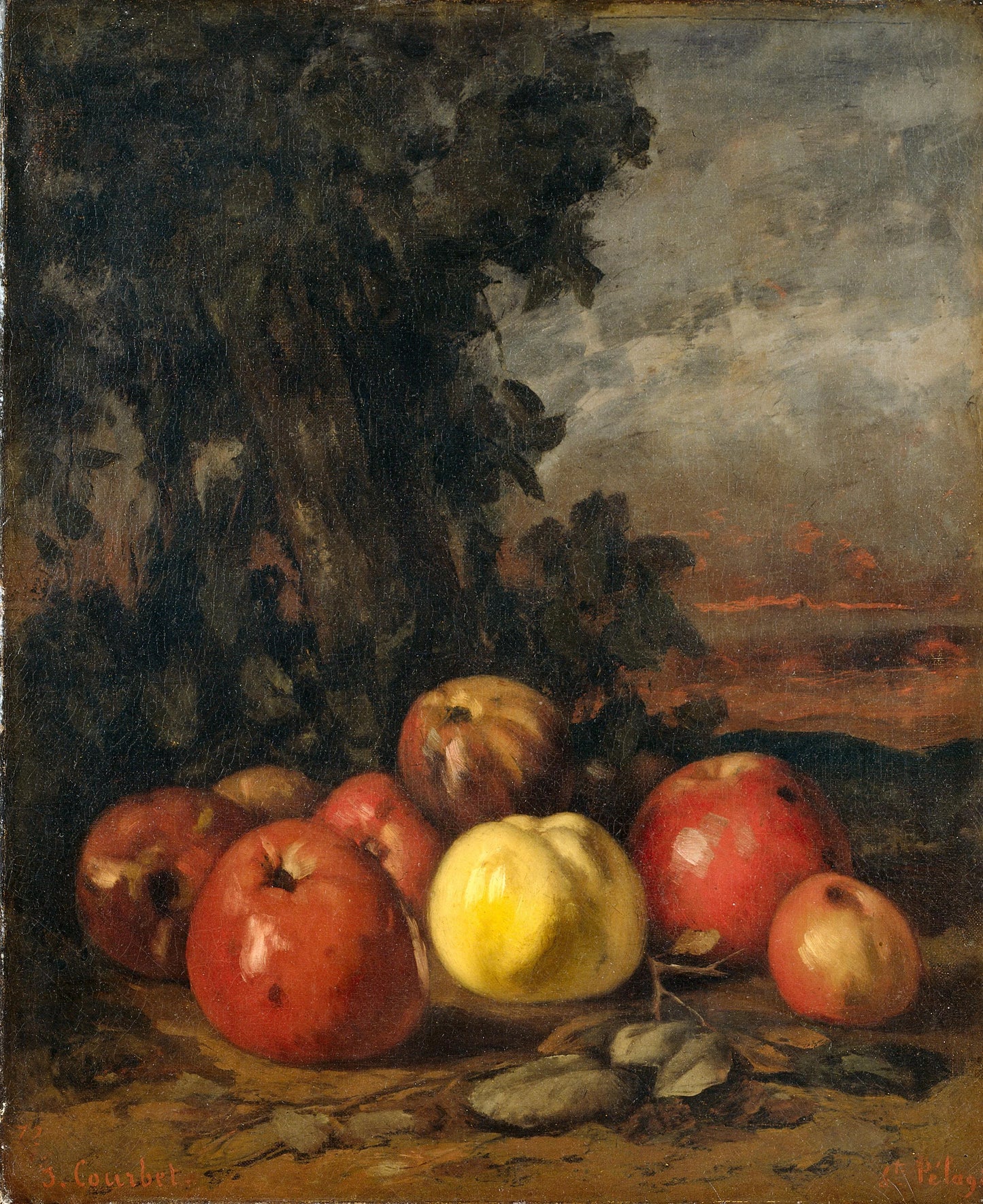 Still Life with Apples – Gustave Courbet Vintage Still Life Art Print | Wall Art Poster
