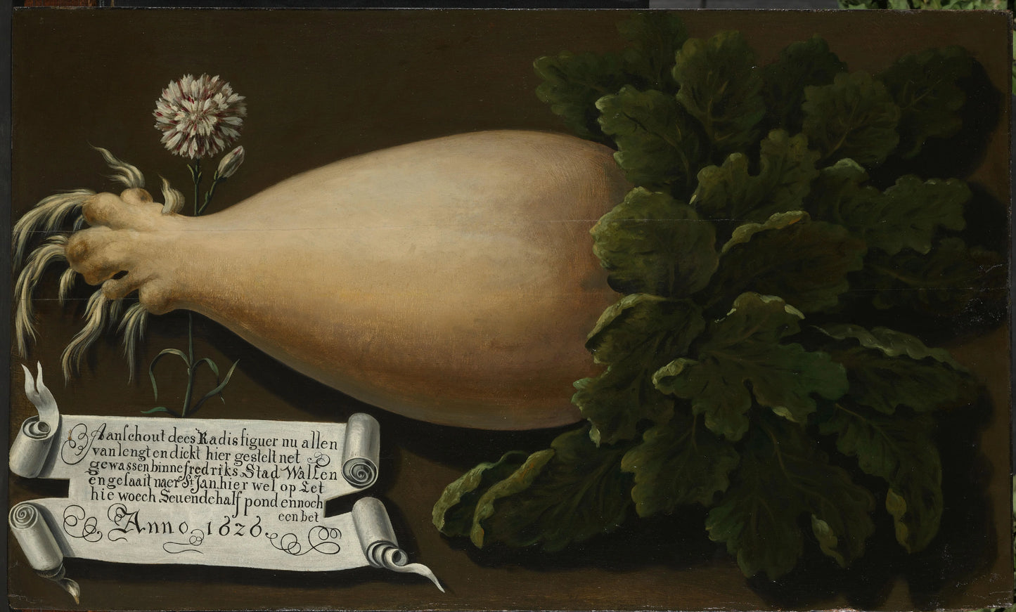 A Giant Radish – anoniem Vintage Art Print | Wall Art Poster