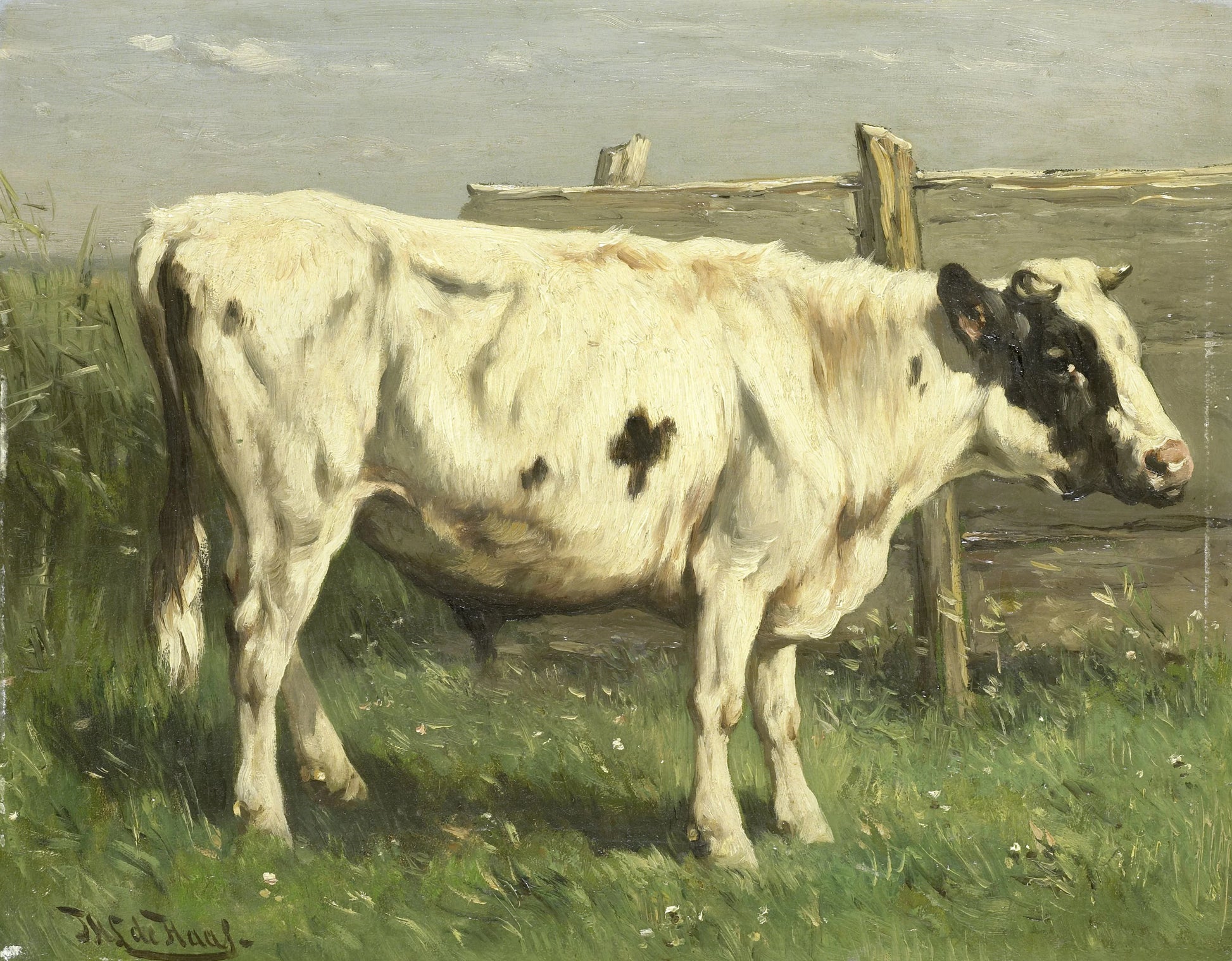 Young Bull – Johannes Hubertus Leonardus de Haas Vintage Animal Study Art Print | Wall Art Poster