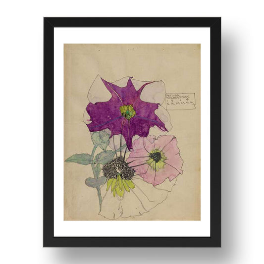 Petunia (Walberswick 1915) Flowers by Charles Rennie Mackintosh and Margaret Macdonald Mackintosh, beautiful print
