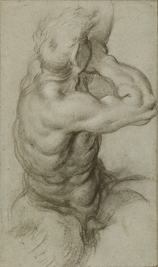 Annibale Carracci:Study of Triton Blowing a Conch Shell (rec, Poster Print Wall Art