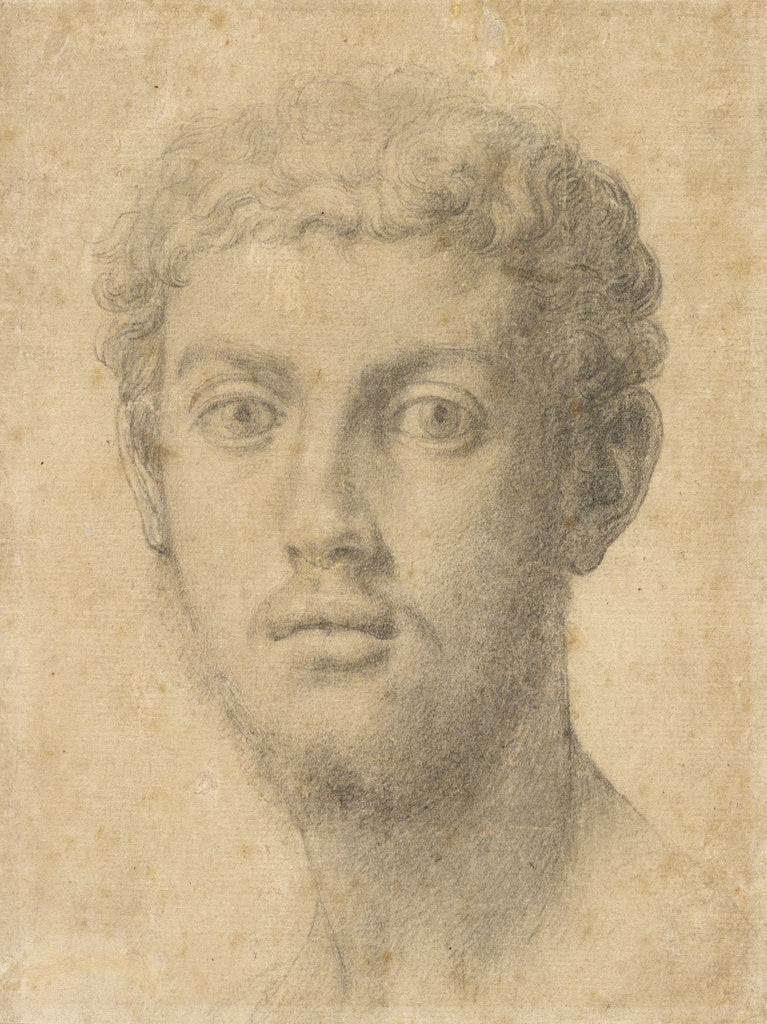 Agnolo Bronzino:Head of a Man, Poster Print Wall Art