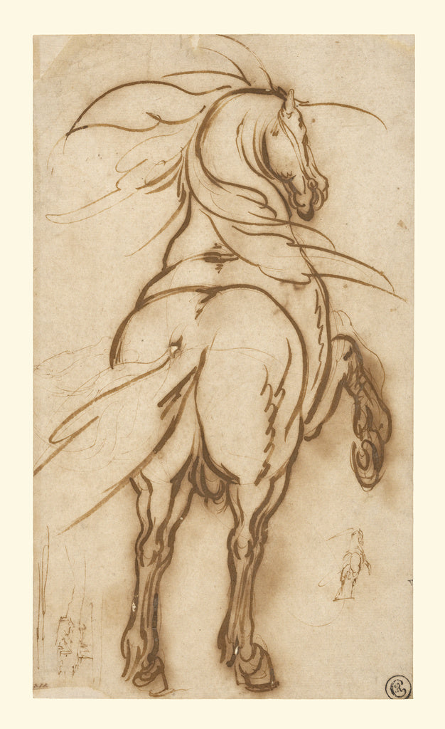 Jacques Callot:Study of a Rearing Horse, Poster Print Wall Art