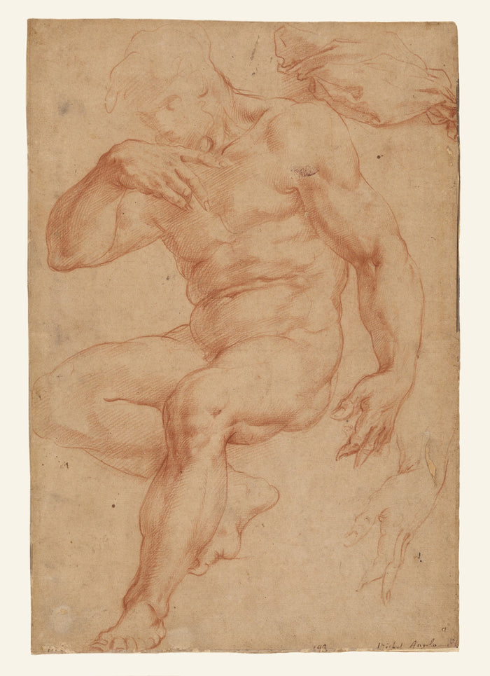 Giorgio Vasari:Studies of a Male Nude, a Drapery, and a Hand,16x12