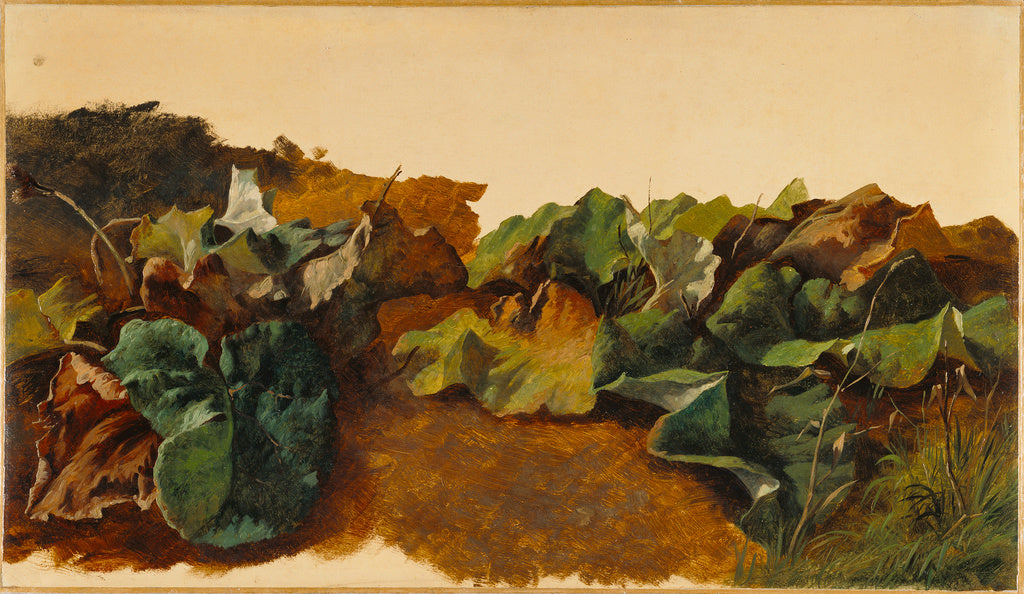 Gilles-François-Joseph Closson:Large Butterburr Leaves and , Poster Print Wall Art