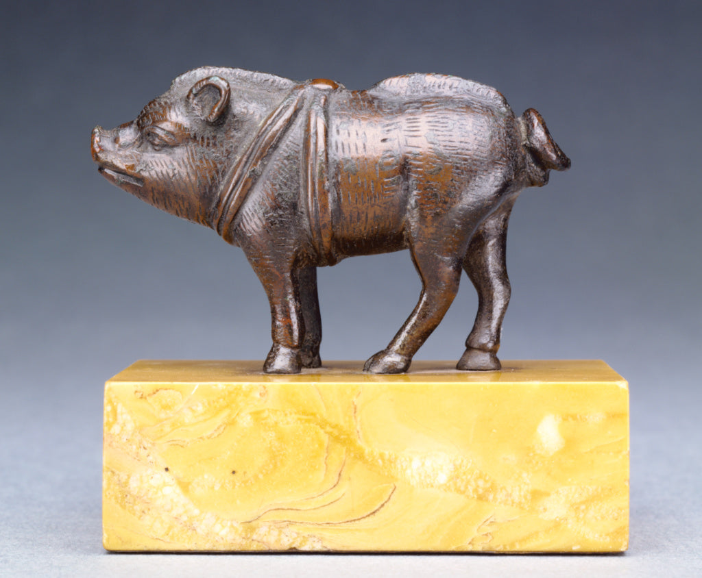 Unknown:Young Boar, Poster Print Wall Art