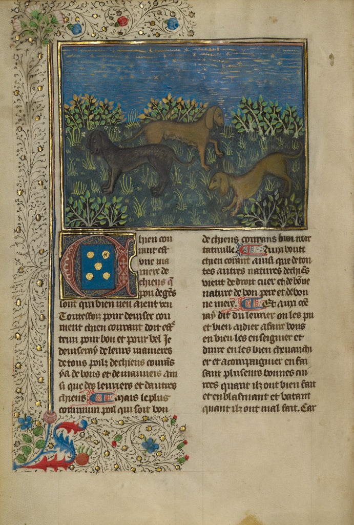 Unknown:Hounds, Poster Print Wall Art