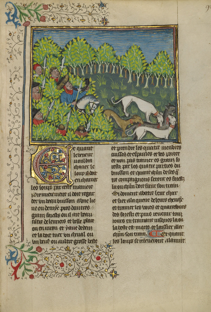 Unknown:Hunters and Dogs Killing a Wolf, Poster Print Wall Art