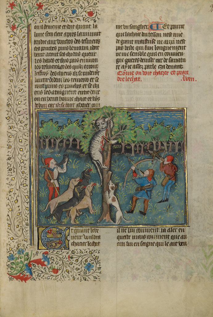Unknown:A Hunter and Dogs Attacking a Treed Wild Cat,16x12