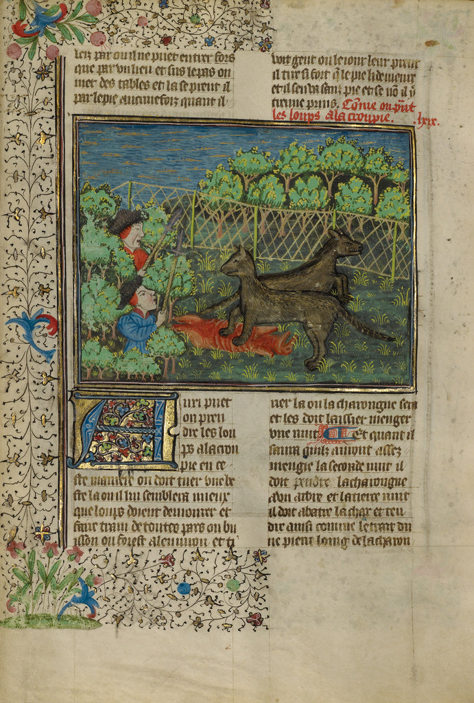 Unknown:Hunters Attracting Wolves with Carrion, Poster Print Wall Art