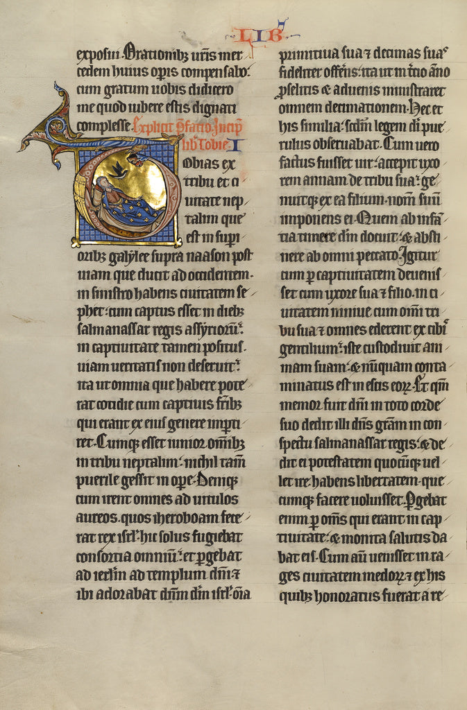 Unknown:Initial T: The Blinding of Tobit, Poster Print Wall Art