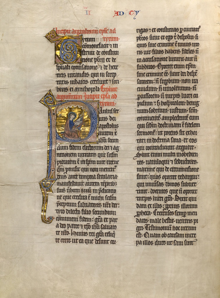 Unknown:Initial P: Saint Paul, Poster Print Wall Art
