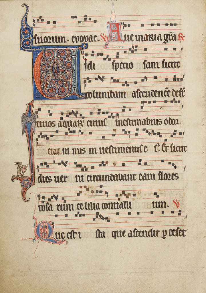 Unknown:Antiphonal, Poster Print Wall Art