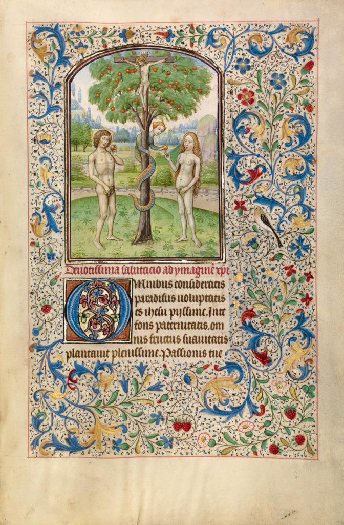 Willem Vrelant:Adam and Eve Eating the Forbidden Fruit, Poster Print Wall Art